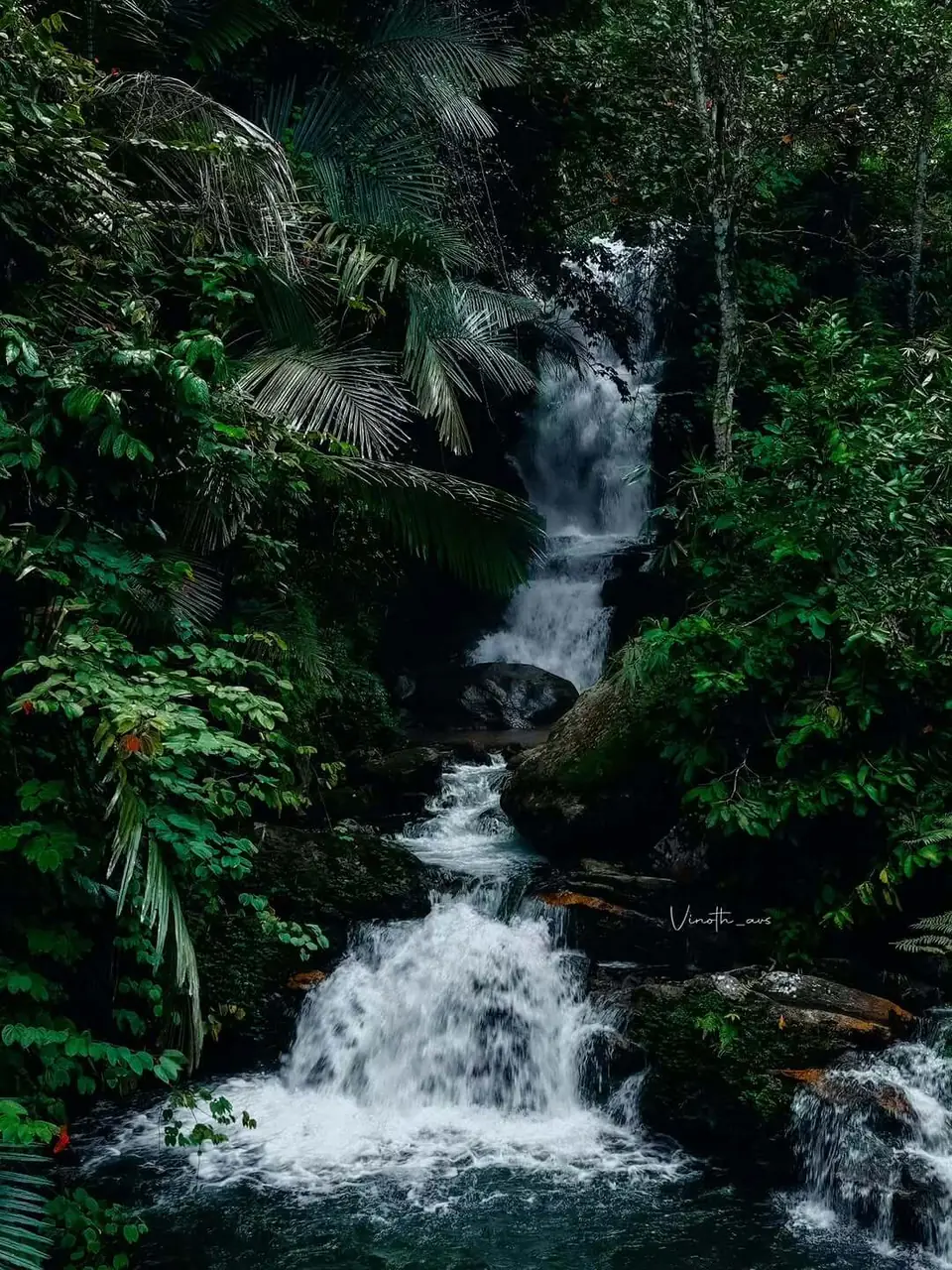 Waterfall in the forests of Idukki, Kerala