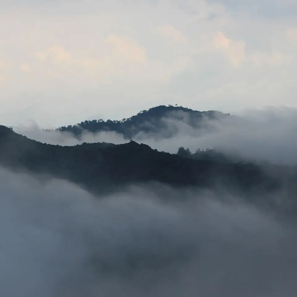 Clouds drifting over hills near Munnar