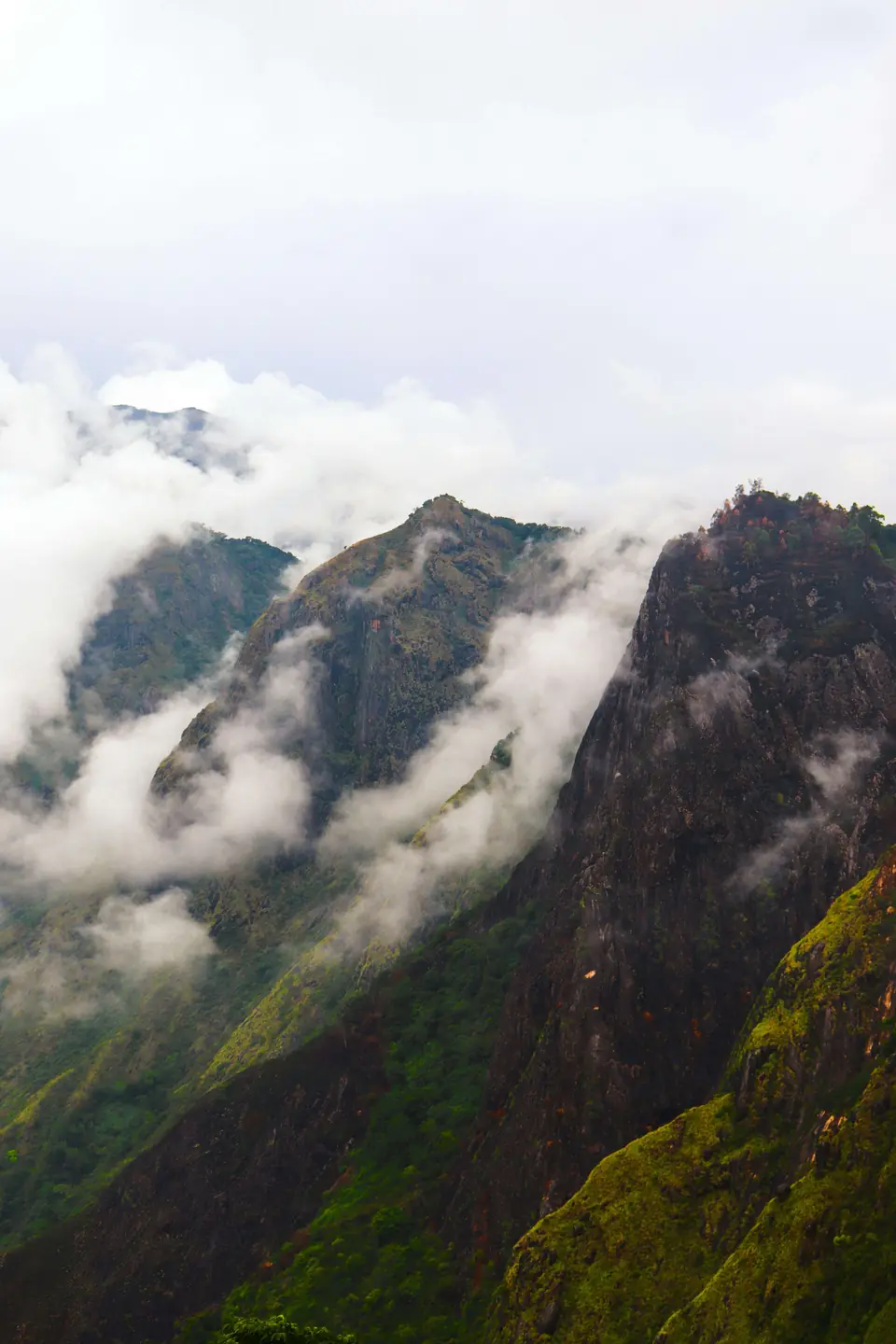 Misty mountain ridge in the Western Ghats