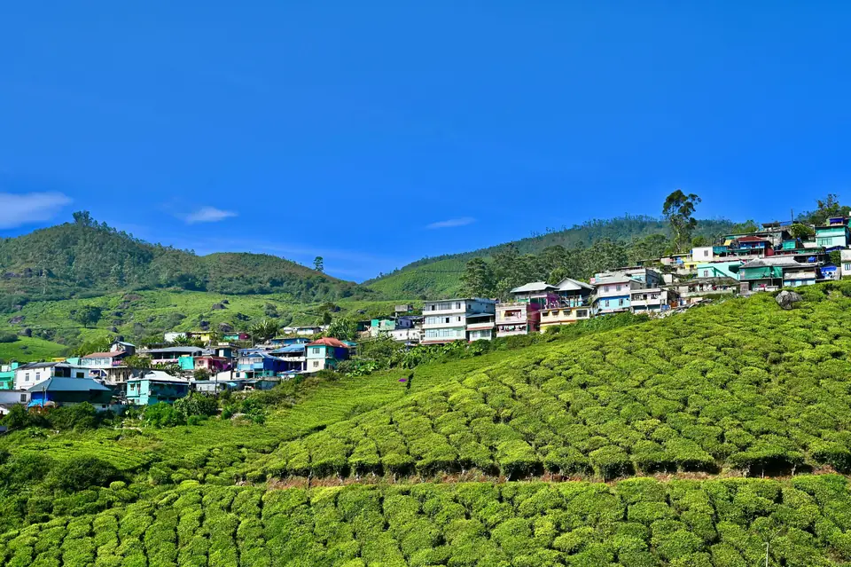 Tea gardens and hillside houses in Idukki