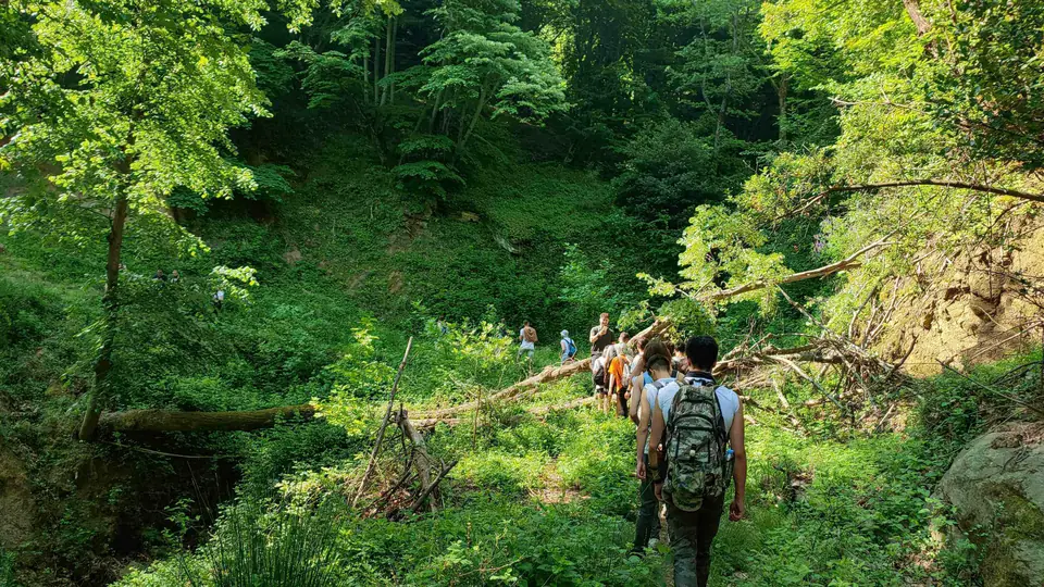 Hiker on a green trail in the hills