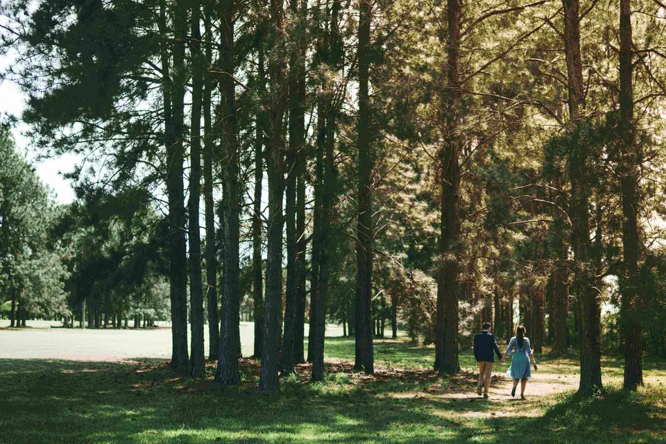 Mankulam Couple’s Package – pine forest path