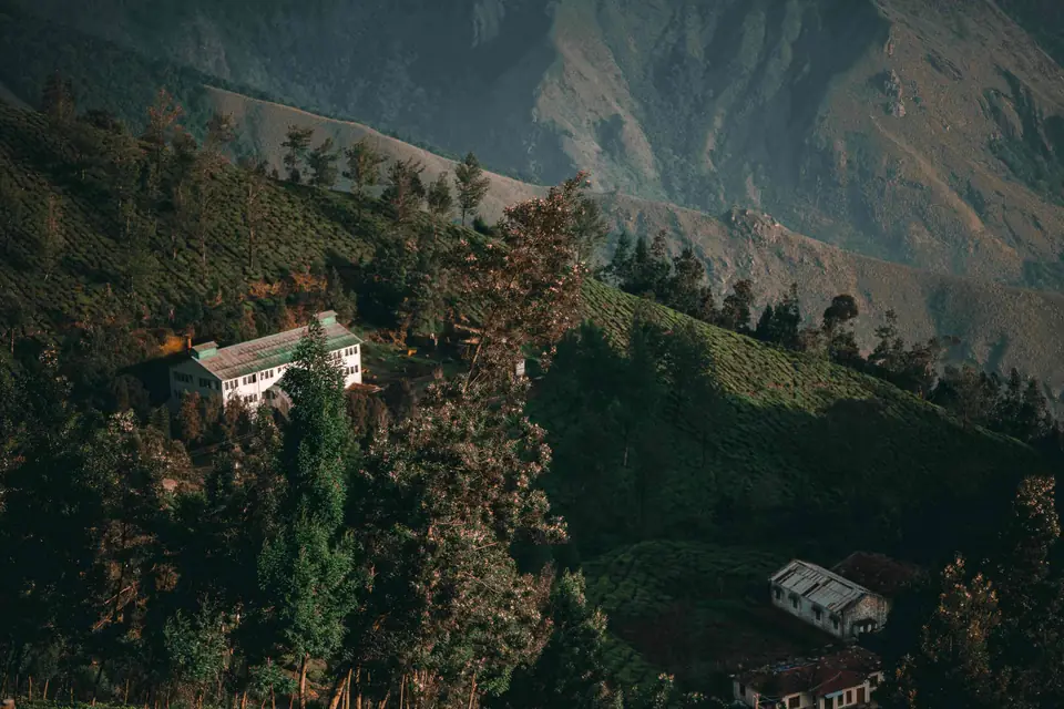 Mankulam Economy Package – forested hills