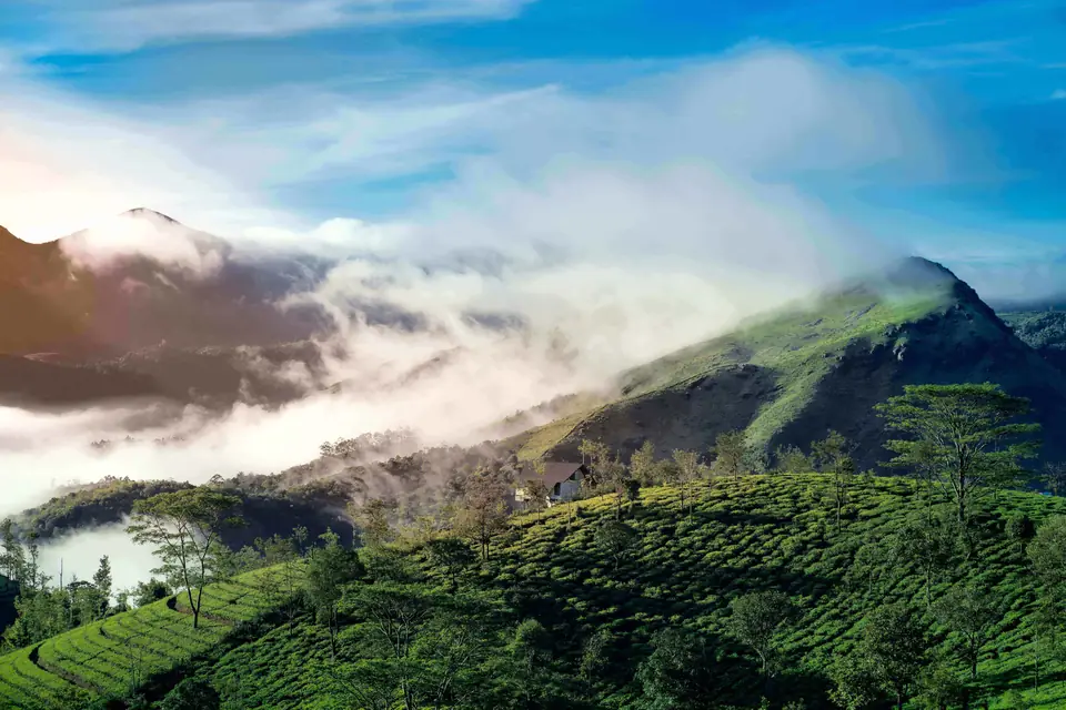 Munnar Couple’s Package – mist over tea gardens