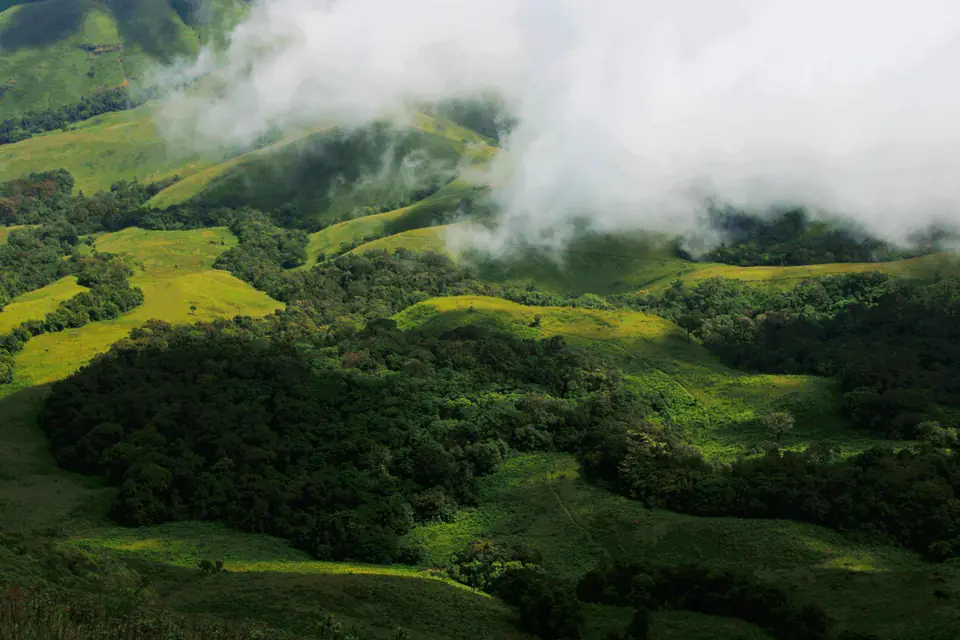 Munnar Premium Package – misty green valley